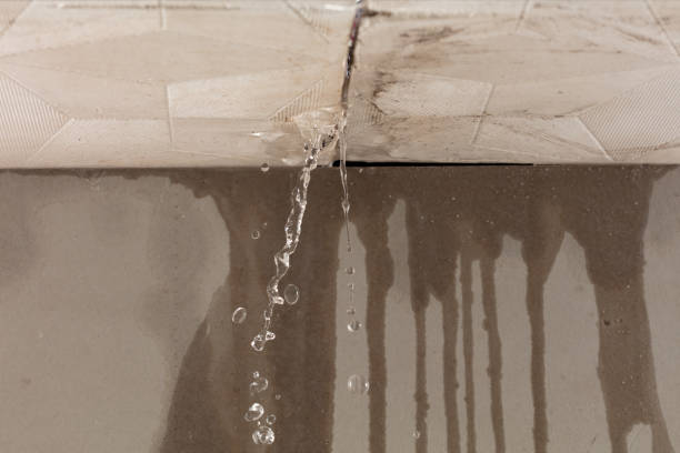 Professional Structural Drying technician working in Lucerne Valley, CA